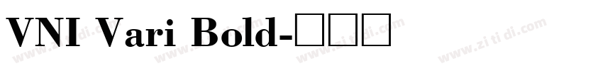 VNI Vari Bold字体转换